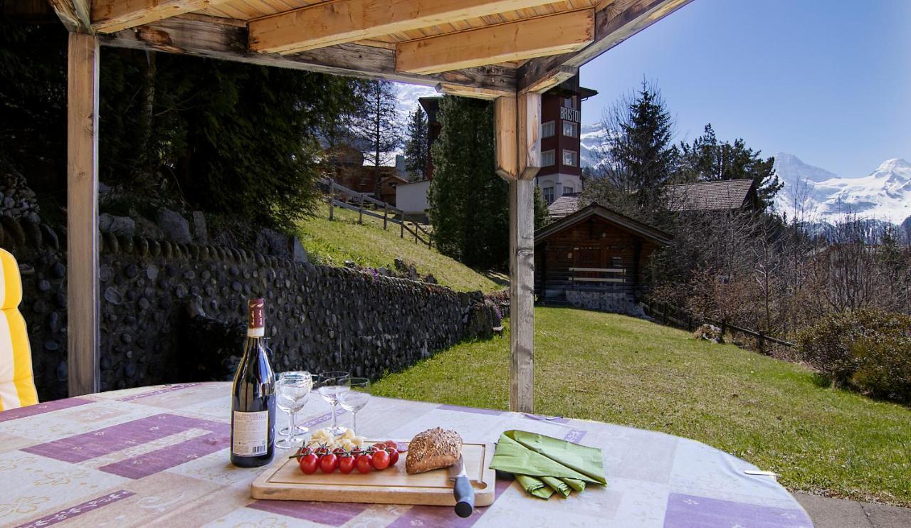 Chalet Steingaertli 1 Wengen Dış mekan fotoğraf